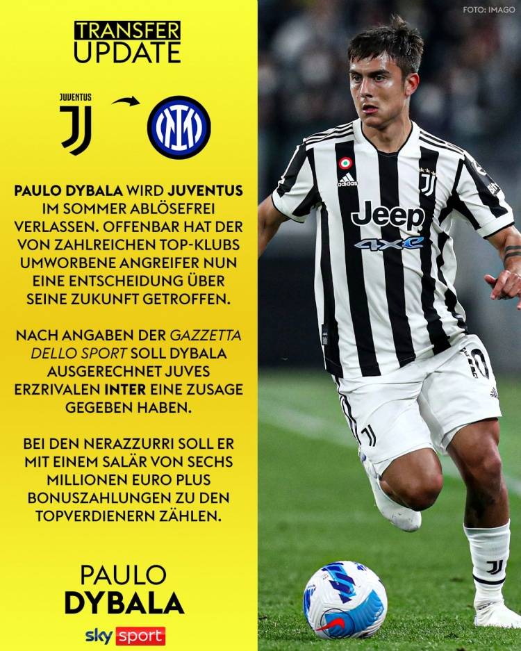 里程碑夜！纽约尼克斯门线救险，意大利杯国际比赛日刷纪录，管理层满意，更衣室氛围转暖的简单介绍-9游游戏官网